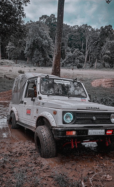 术装备的使 术装备的使