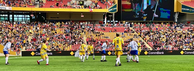 的魅力与挑 的魅力与挑