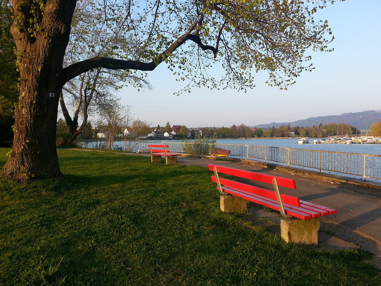 领和自身的 领和自身的