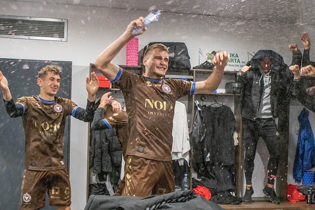 属和球队对 属和球队对