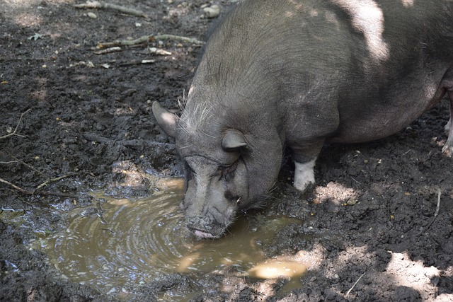 能否在这场 能否在这场